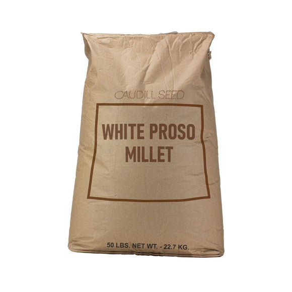 White Proso Millet